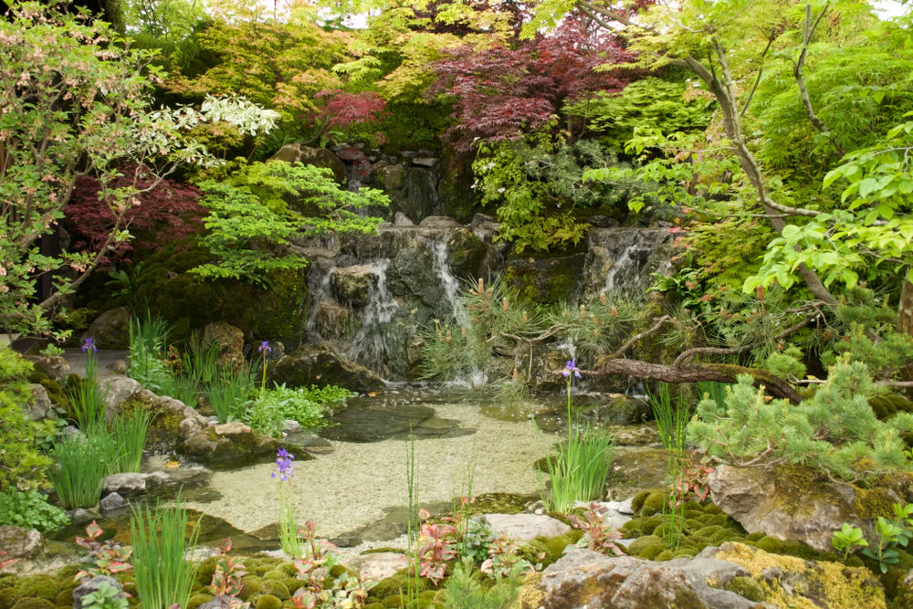 Award-Winning Garden Inspires Our Seattle Floral Studio Designs
