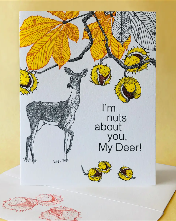 I'm nuts about you, My Deer - Greeting Card